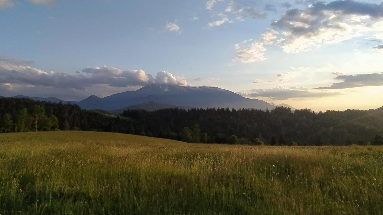 Ferienwohnung Kmetija Pecnik Prevalje Exterior foto