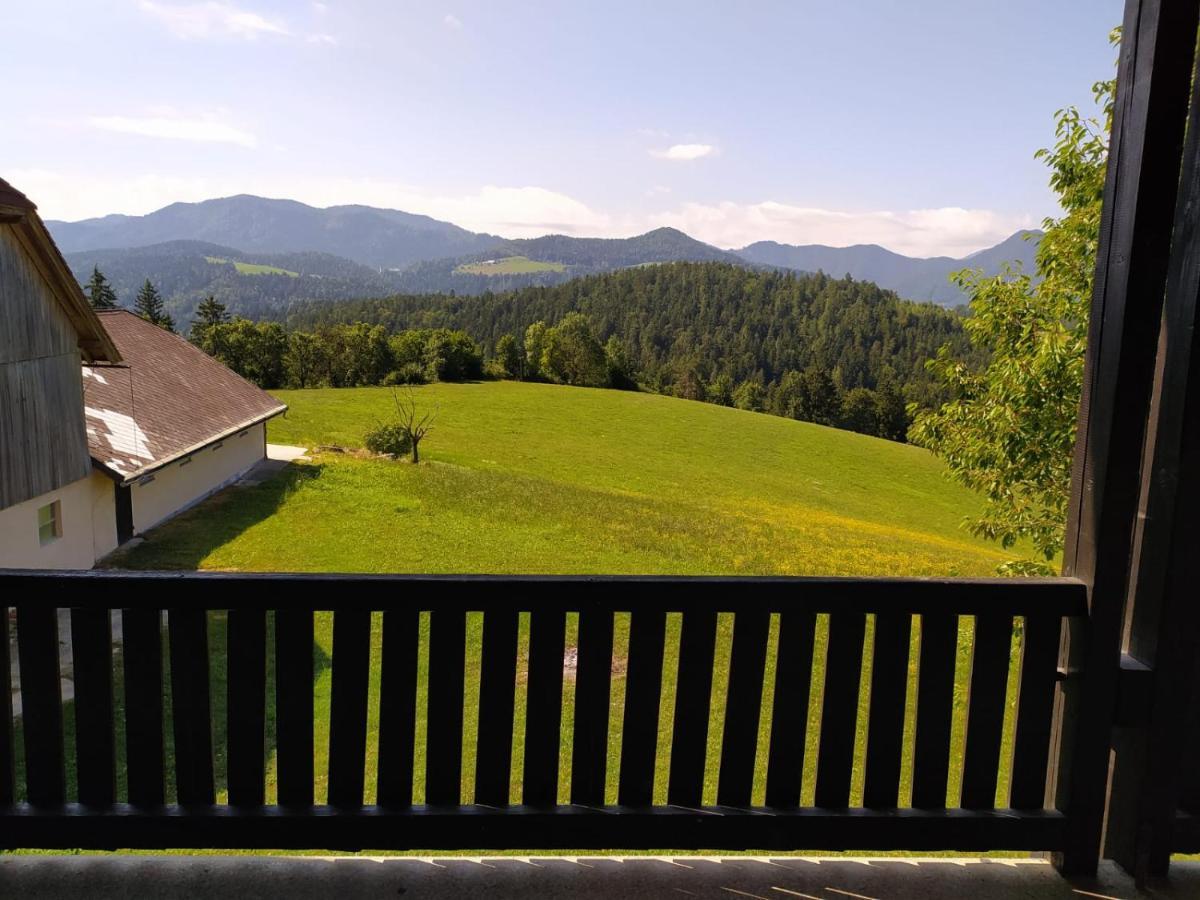 Ferienwohnung Kmetija Pecnik Prevalje Exterior foto