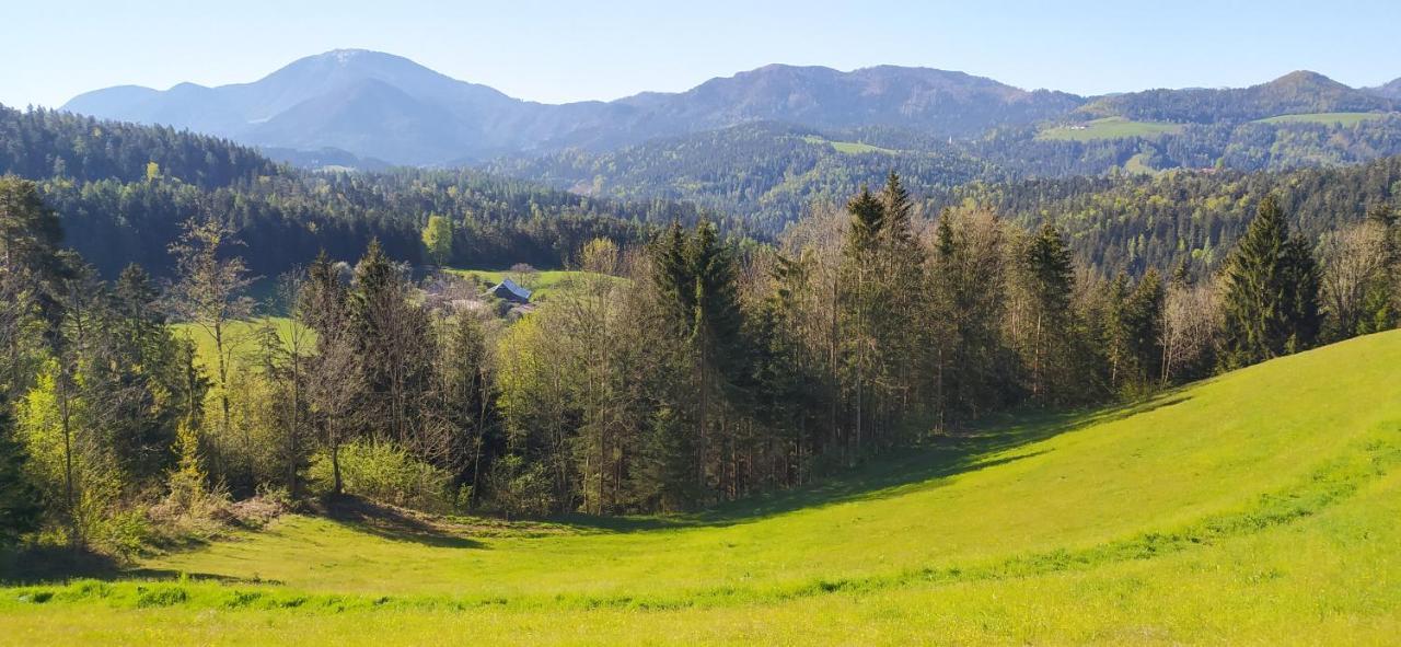 Ferienwohnung Kmetija Pecnik Prevalje Exterior foto