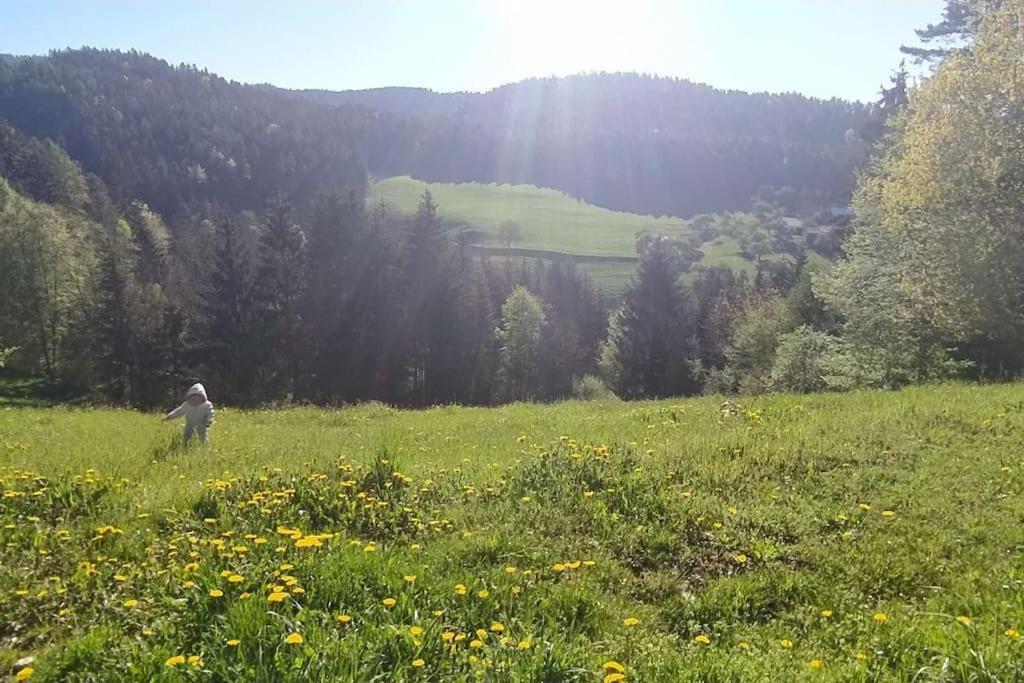 Ferienwohnung Kmetija Pecnik Prevalje Exterior foto