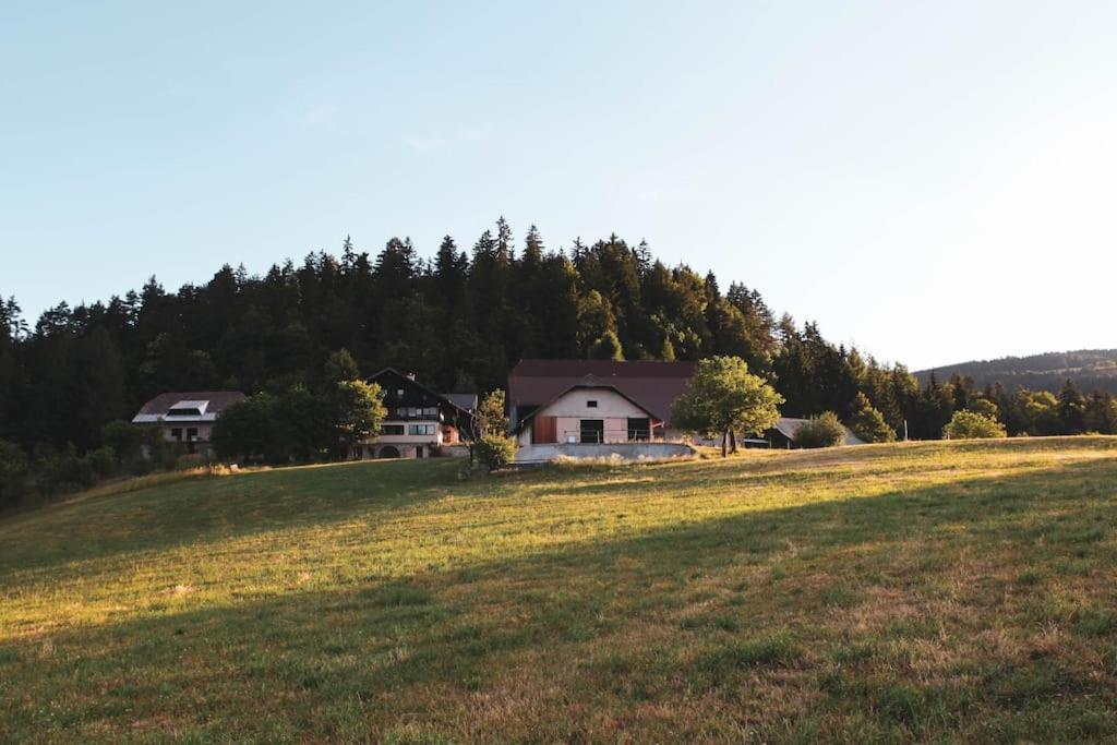 Ferienwohnung Kmetija Pecnik Prevalje Exterior foto