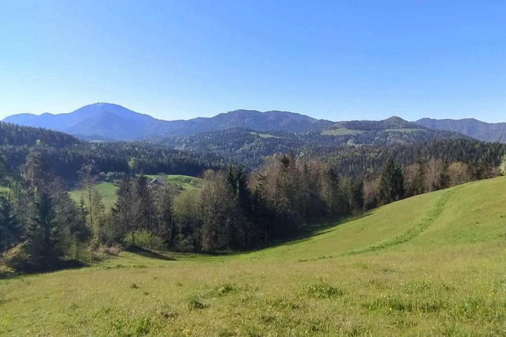 Ferienwohnung Kmetija Pecnik Prevalje Exterior foto